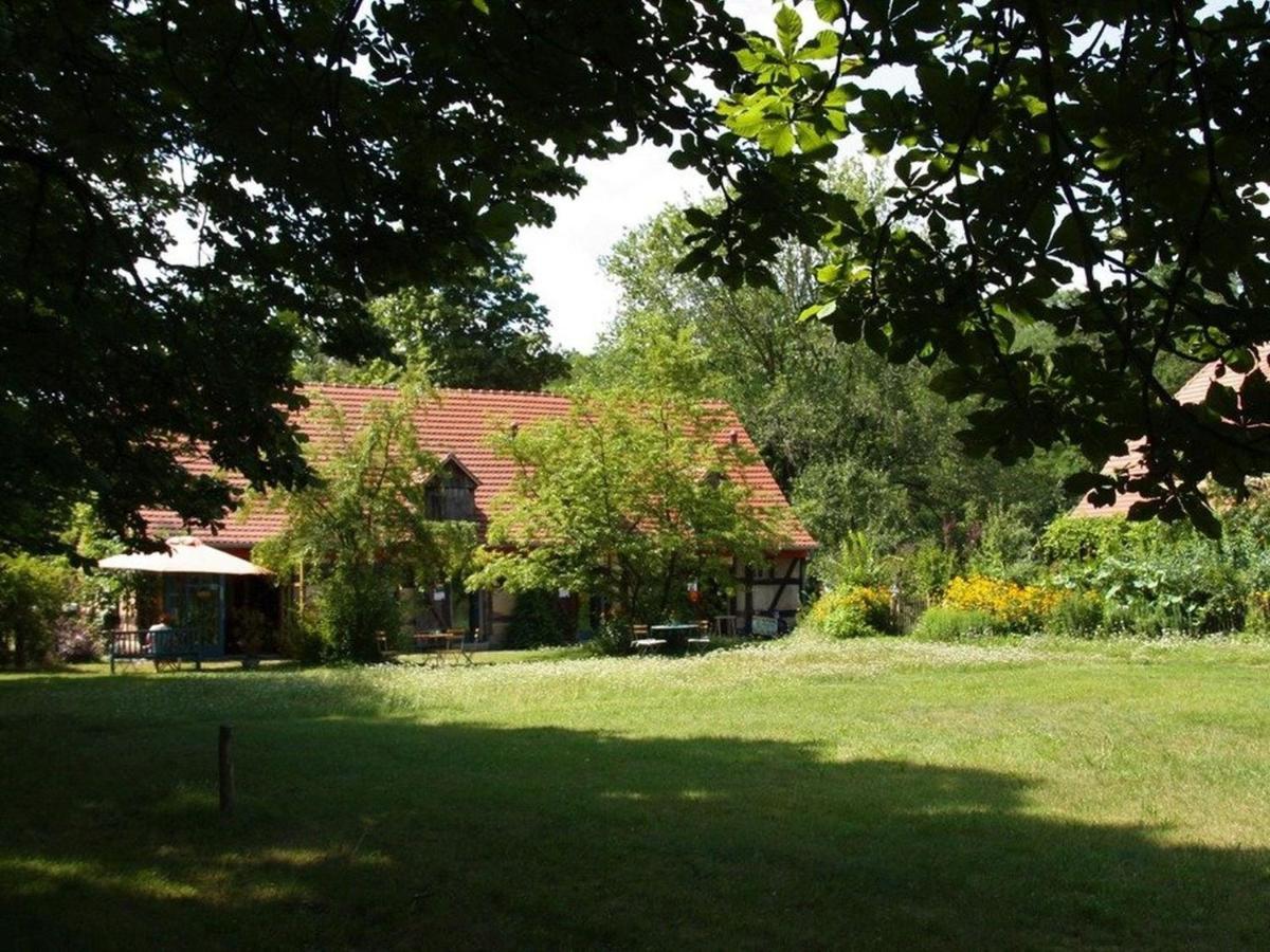 Ferienwohnung Am Roten Schloss Glashutte  外观 照片